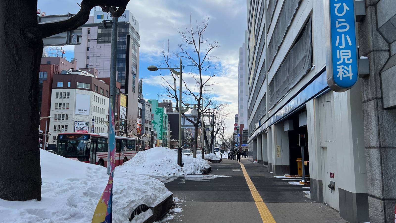 Winter Silence on Sapporo Streets — Sapporo, Japan