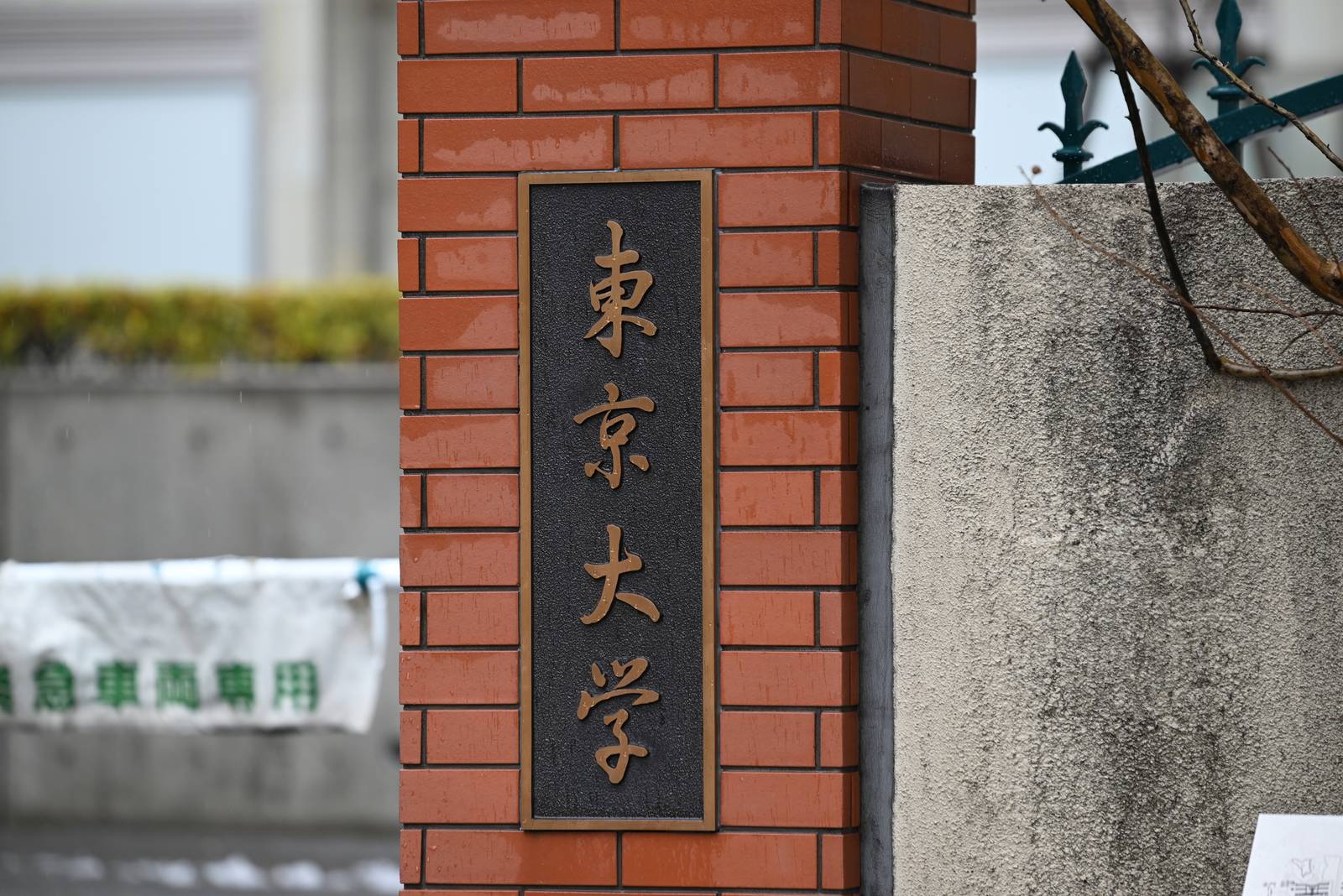 Legacy of the University of Tokyo — Tokyo, Japan