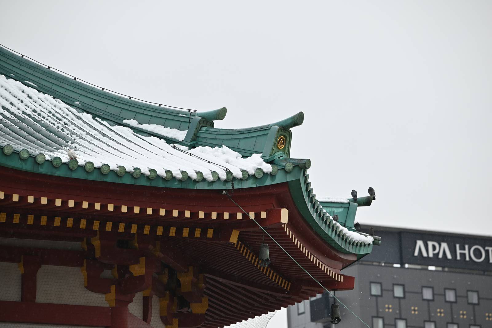 Snow Dusted Silence in Tokyo — Tokyo, Japan