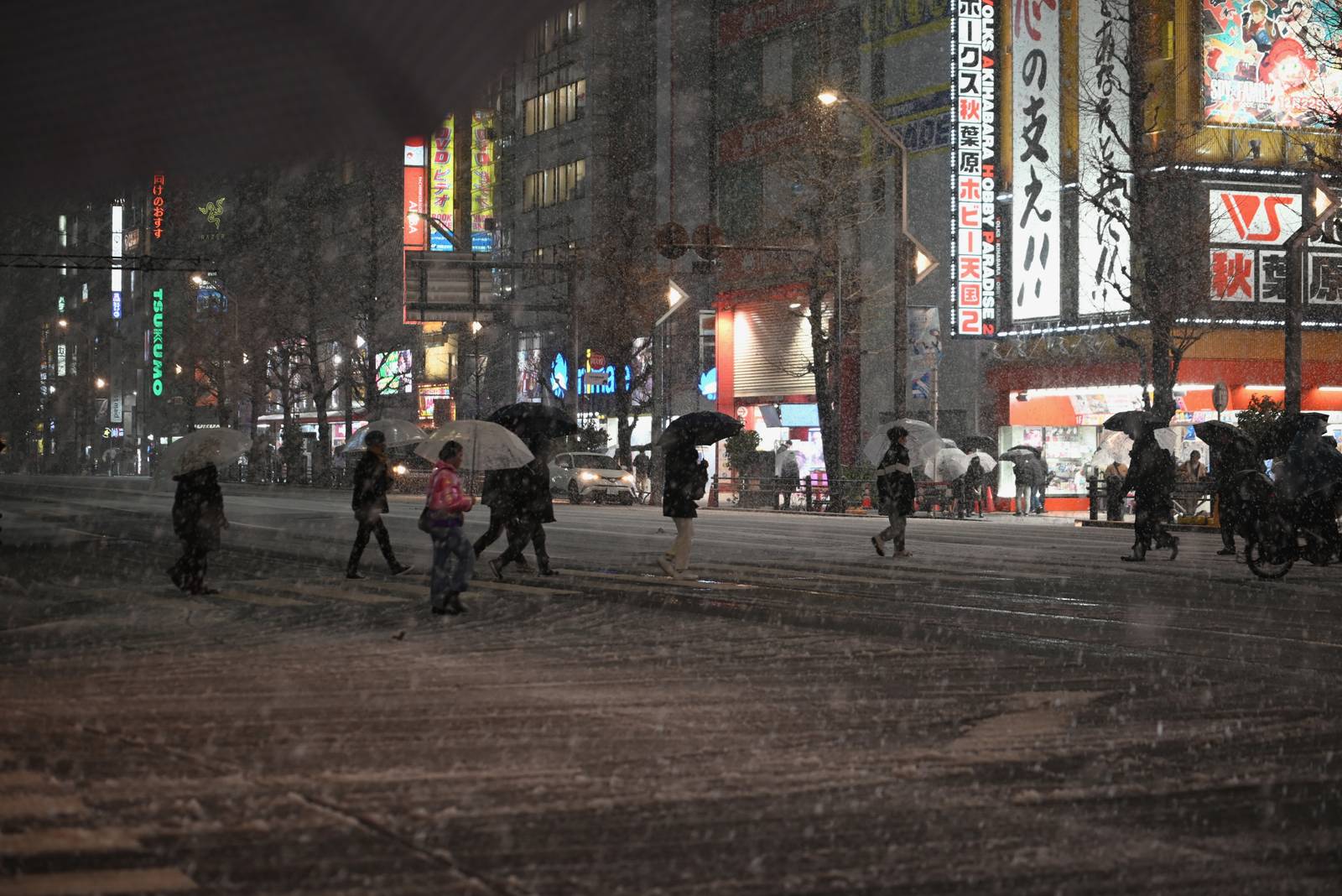 Neon Glow in a Tokyo Snowfall — Tokyo, Japan