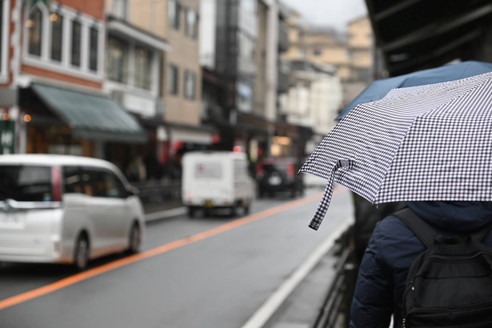 A Quiet Rainy Day in Hakone — Hakone, Japan