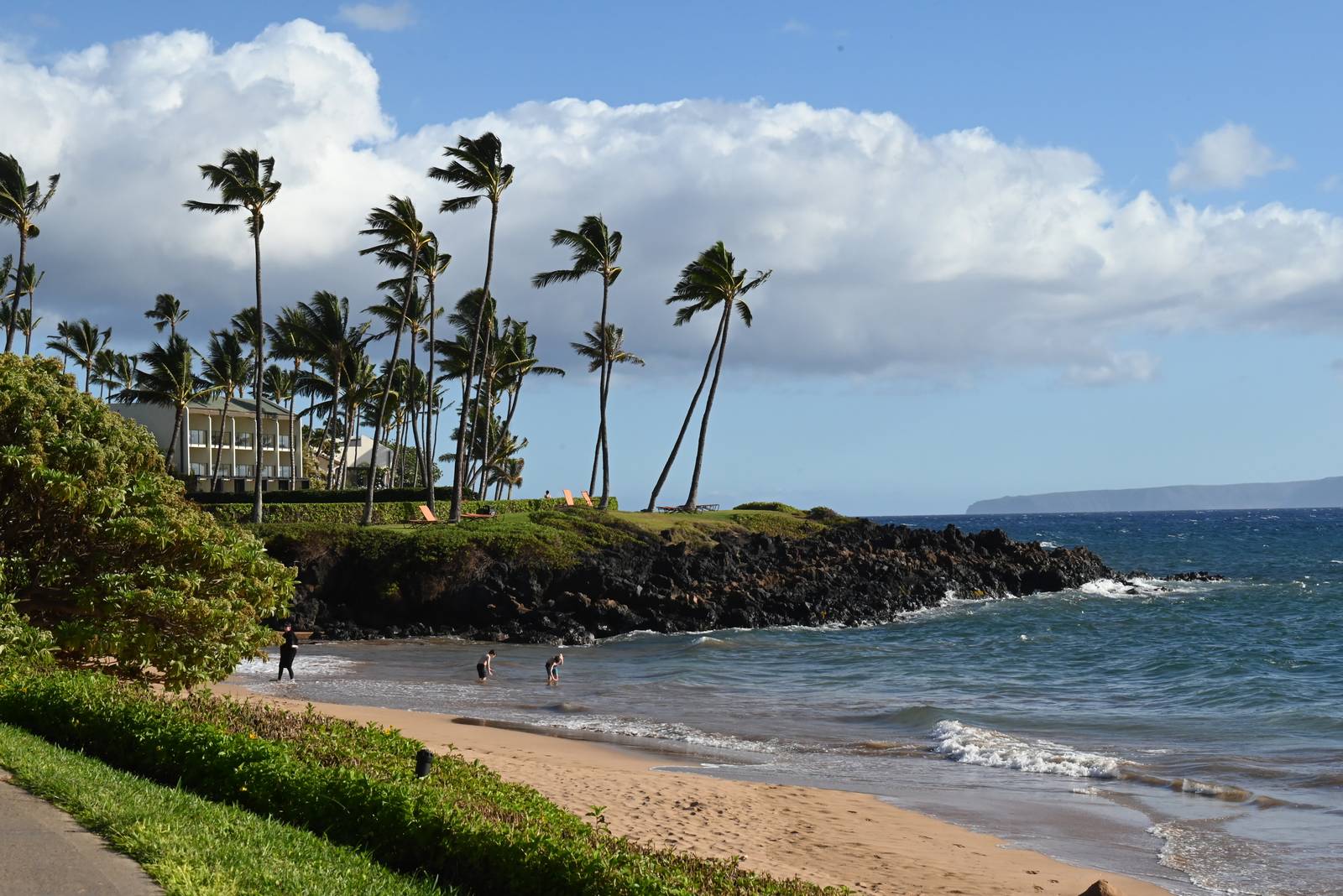 Where the Palms Meet the Tide — Hawaii, United States