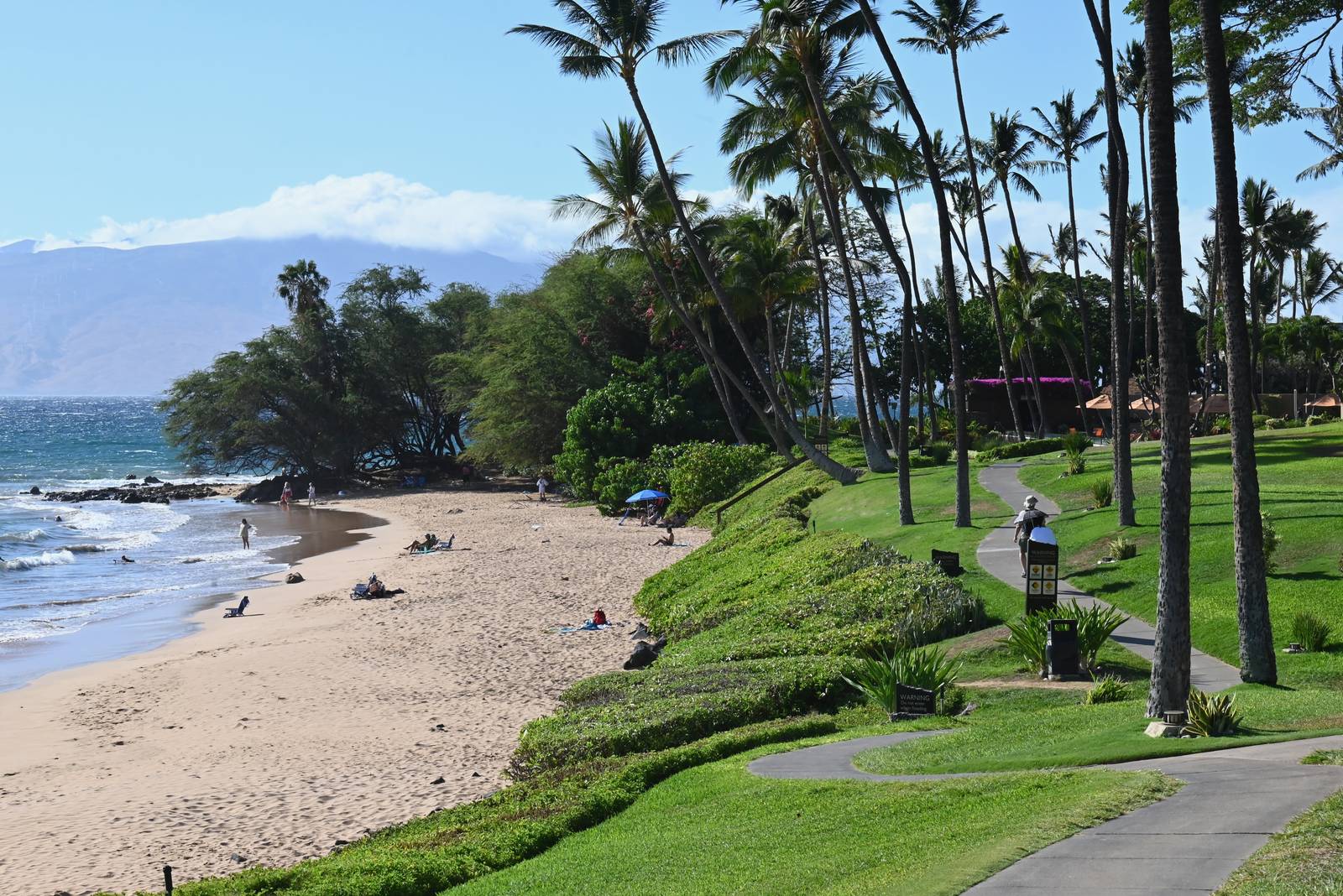 Where Palm Shadows Meet the Sea — Hawaii, United States
