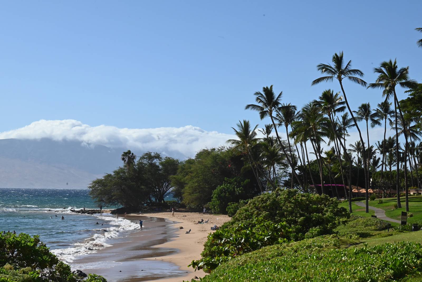 Whispering Palms and Pacific Tides — Hawaii, United States