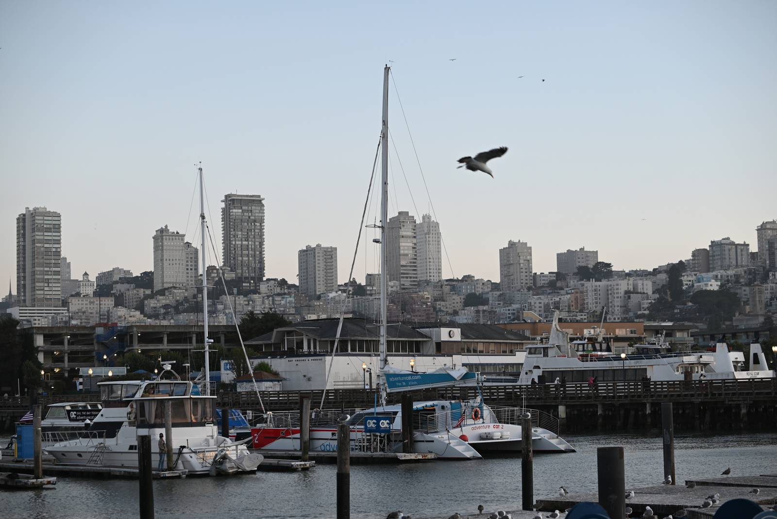 Quiet Dusk on the Bay — San Francisco, United States